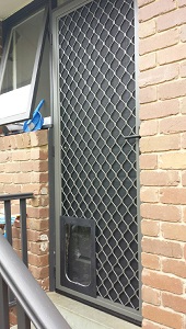 Security door with doggy door