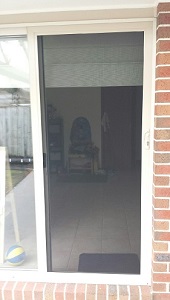 Aluminium door with mesh